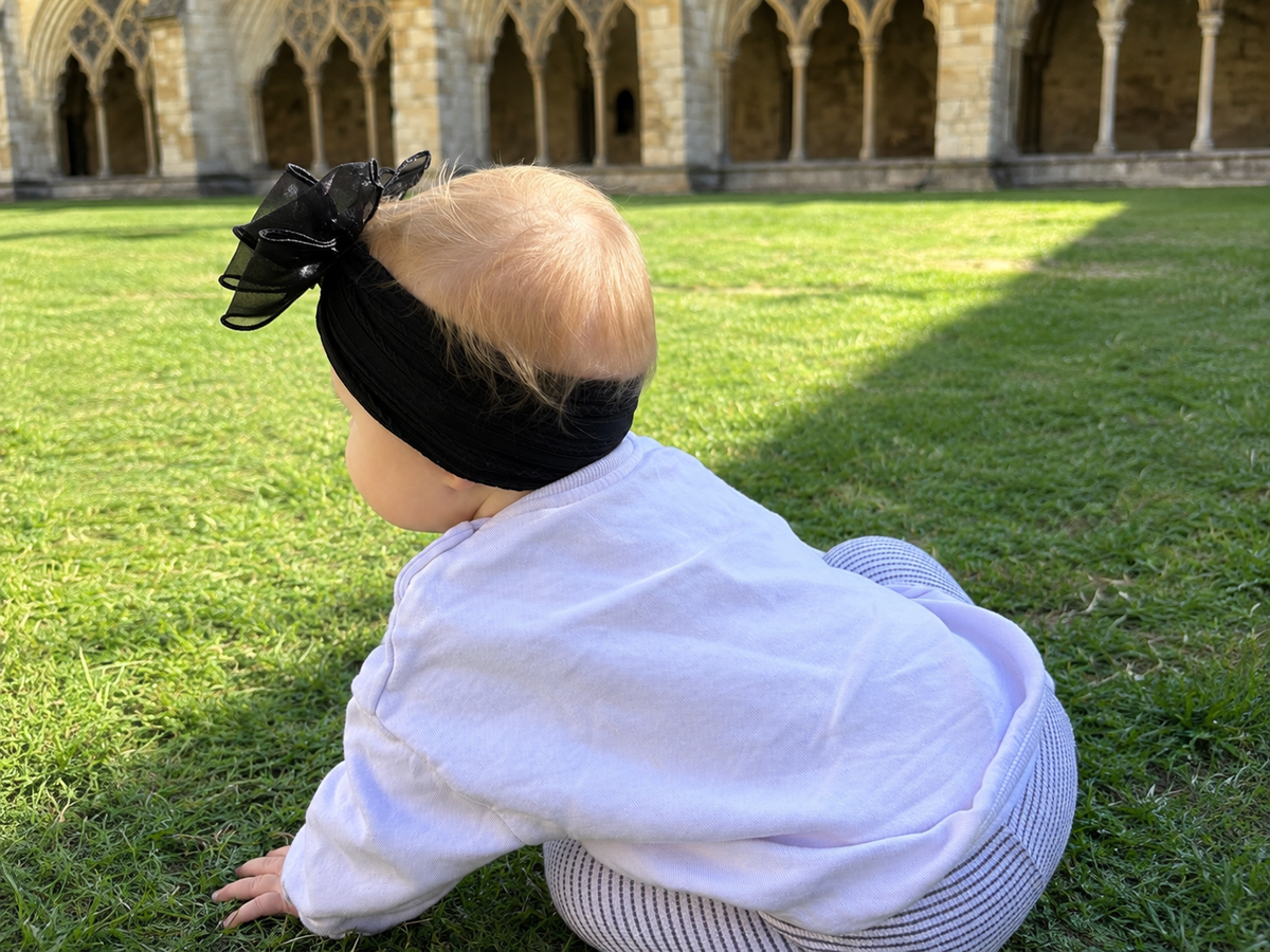 Organza Beau’s Bow in black