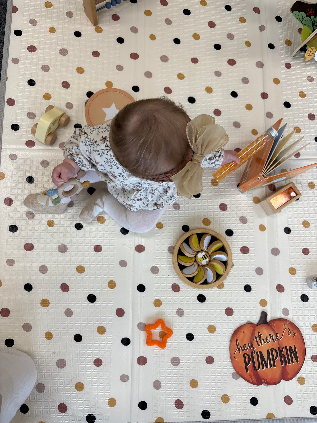 Organza Beau’s bow headband, in chocolate