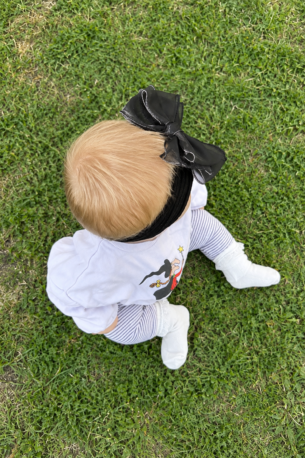 Organza Beau’s Bow in black